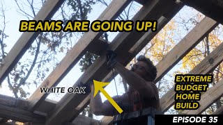 Installing White Oak Beams EBHB Episode 35 [upl. by Ahsemot]