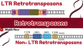 Retrotransposons Mobile DNA Elements  How LINEs amp SINEs Jump Around the Genome Molecular Genetics [upl. by Auhs]