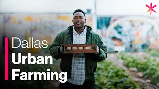 How Urban Farming Saved a Dallas Community [upl. by Renmus]