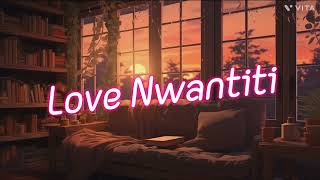 love Nwantiti slowed amd reverb by vijay lofi [upl. by Ykcim]