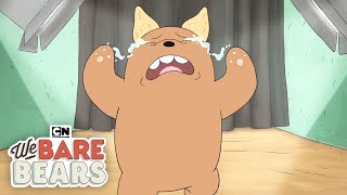 Pet Adoption Commercial  We Bare Bears  Cartoon Network [upl. by Hairu]