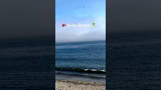 Avila Beach 🏝️ avilabeach videos reel shortvideoformat punjabnews fannyvideo tranding [upl. by Oca782]