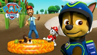 Marshall ratuje staw z kaczkami i inne akcje ratunkowe zwierząt  Psi Patrol PAW Patrol po polsku [upl. by Kato]