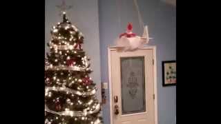 Elf on the Shelf Flying in Airplane [upl. by Anavahs]