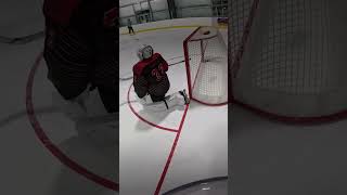 Bardeezy💥 hockey rollerhockey nhl goals bardown [upl. by Anaujat]