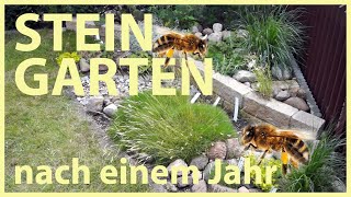 Insektenfreundlichen 🐝 Steingarten selber anlegen  nach einem Jahr [upl. by Anees]