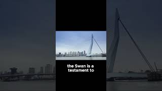 4KModern Architecture Marvels Discover Rotterdam and Amsterdam [upl. by Alded]