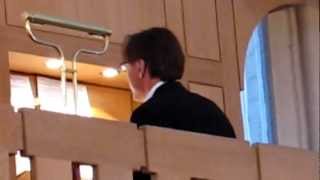 ODENSE DOMKIRKE ORGAN CONCERT [upl. by Aimek301]