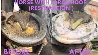 Shire Horse Complete restoration Shire Horse Restoration Compilation shirehorse huge massivehoof [upl. by Shu508]