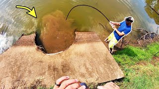 300 LB MONSTER in a STORM DRAIN [upl. by Verina877]