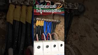 How to 3 phase mcb box connection 😳😳 TPN DB Box connection⚡️ deepakelectricaingyan shortvideo [upl. by Clyte]