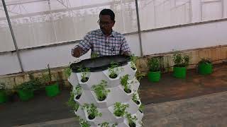 UASB KRISHIMELA 2024  Household Hydrophonic Cultivation Models DrKNSrinivasappa ProfHorti [upl. by Neirb]