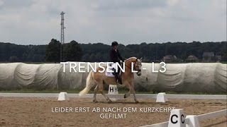 LDressur Trense  L3  Richterkommentare eingeblendet [upl. by Gothard]