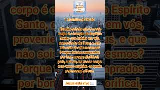 1 CORÍNTIOS 61920 📖 deus jesus bilblia evangelho [upl. by Yordan]