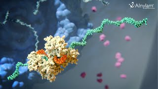 RNAi Therapeutics  How this New Class of Medicines Works [upl. by Nerol]