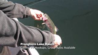 Pronghorn Lake Ranch Trophy Trout amp Bass Fishing [upl. by Modern]