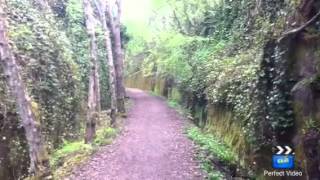 Newtyle railway walk [upl. by Atsocal]