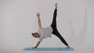 Side Plank Vasisthasana  Yoga Asana Tutorial [upl. by Nirehtac]