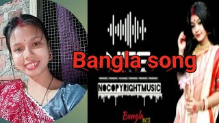 Bangla songBangla Bidisha vlog non copyright song [upl. by Nisa713]