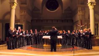 Salvation is Created  Chesnokov  Te Deum Chamber Choir [upl. by Latoye38]