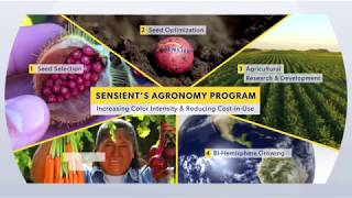 Sensients Agronomy Program [upl. by Zinn]