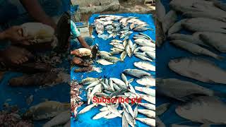 A diverse profession fish business subscribe fish fishing subscribemychannel [upl. by Hochman]