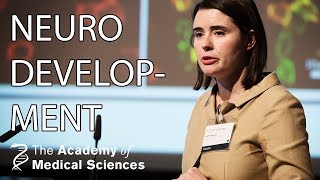 Maternal antibodies and neurodevelopmental disorders  Dr Ester Coutinho [upl. by Azeria]