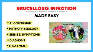 Brucella infection Brucellosis pathophysiology symptoms treatment microbiology made easy [upl. by Ahsemad]