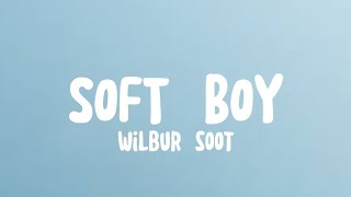 Wilbur Soot  Soft Boy Lyrics [upl. by Gnek]