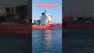 chinese ship 🚢 on the sea  ship assistance  ship along sidedeepshipyard007 [upl. by Ecirtnuahs]