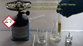 THE XANTHOPROTEIC TEST FOR PROTEINS [upl. by Ater626]