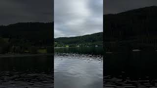 Titisee Schwarzwald [upl. by Atinauj570]