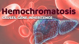 Hemochromatosis  Cause Gene amp Inheritance  HFE gene  Iron storage in Liver  Transferrin [upl. by Nylesor67]