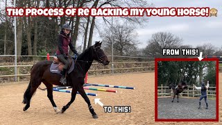 REBACKING MY YOUNG HORSE  The process… [upl. by Haseena]