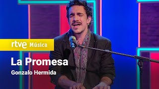 Gonzalo Hermida  “La Promesa” Plan de Tarde [upl. by Dnalon]