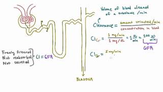 Calculating Clearance  Example Calculations [upl. by Arick]