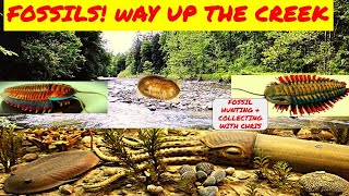 Fossils Way Up the Creek Fossil Hunting and Collecting with Chris Trilobites Cephalopods [upl. by Waddell]