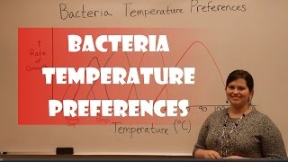 Bacteria Temperature Preferences [upl. by Yenttihw]