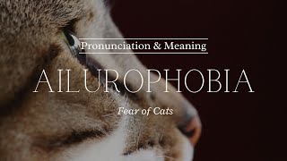 How to Pronounce Ailurophobia  British Pronunciation amp Meaning [upl. by Nadabas]