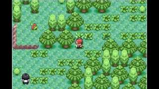 How To Get Bike In Pokemon Ruby Destiny Reign of Legends [upl. by Moraj348]