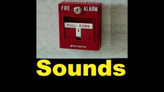 Fire Alarm Sound Effects All Sounds [upl. by Budworth137]