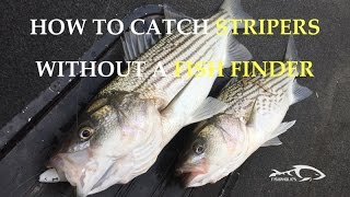 How to catch striper without a fish finder [upl. by Adnirak648]