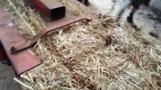 click this to watch massey 20 baler [upl. by Korfonta621]