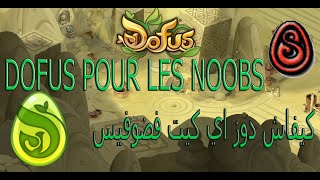 DOFUS MAROC comment faire tout les quête dofus  كيفاش دوز اي كيت فضوفيس [upl. by Aliekat785]