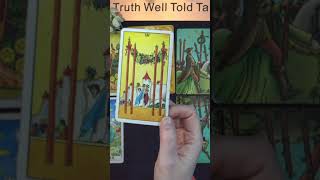 LEO TAROT READING quotREASONS TO CELEBRATEquot November 2024 shorts Leo november2024 [upl. by Xuagram]