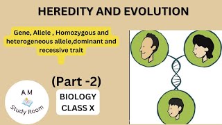 GenesAlleleshomozygous and heterozygous allele dominant and recessive trait class10 biology [upl. by Eloken]