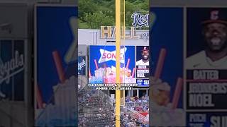 This foul ball was called a HOME RUN [upl. by Casandra]