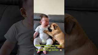 Heartwarming Moment Puppy Comforts Crying Baby [upl. by Yeaton]