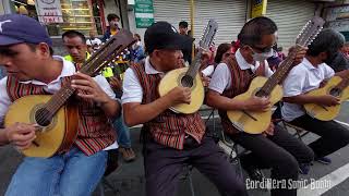 Mystery song cover by Philippine Rondalla Serenata — Street Music Philippines [upl. by Verity]