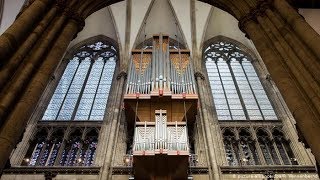 IMPONENTE MÚSICA ÓRGANO CATEDRAL DE COLONIA ALEMANIA [upl. by Dugan]